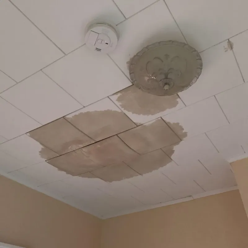 Ceiling Water Damage Repair in Fox River Grove, IL