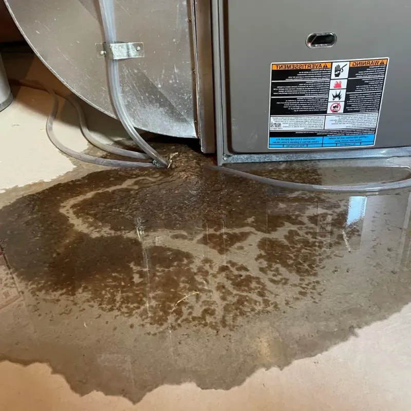 Pipe Burst and Leak Restoration in Fox River Grove, IL