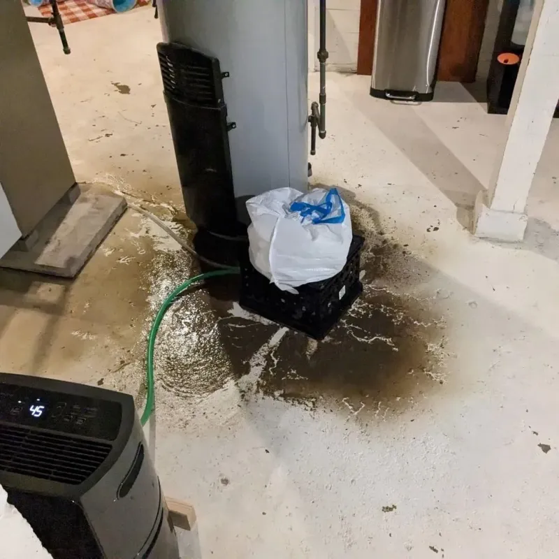 Sewage Backup Cleanup Service in Fox River Grove, IL